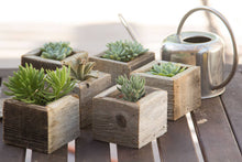 Load image into Gallery viewer, Reclaimed Wood Mini Square Planters / Favor Boxes