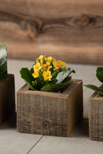 Load image into Gallery viewer, Reclaimed Wood Mini Square Planters / Favor Boxes