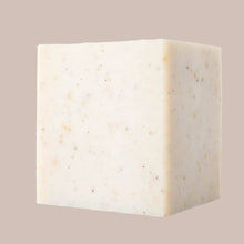 Load image into Gallery viewer, Solid Dish Soap | Unscented