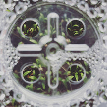 Load image into Gallery viewer, Microgreens and Seed-Starting Kit