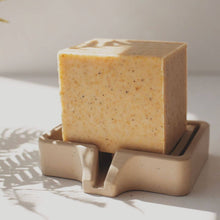 Load image into Gallery viewer, Solid Dish Soap | Citrus
